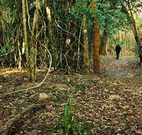 Sand track walk north - Timeshare Accommodation