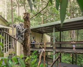 Daisy Hill Koala Centre - Timeshare Accommodation 0