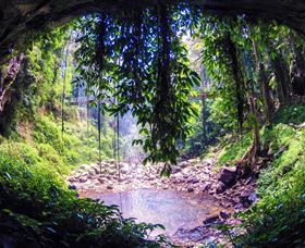 Dorrigo Rainforest Centre - Timeshare Accommodation 1