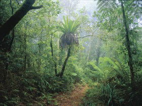 Wagawn - Timeshare Accommodation 0