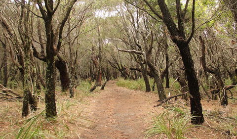 Pretty Beach To Snapper Point Walking Track - Timeshare Accommodation 0