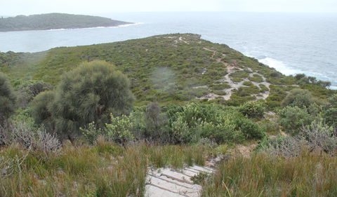 Pretty Beach To Snapper Point Walking Track - Timeshare Accommodation 2