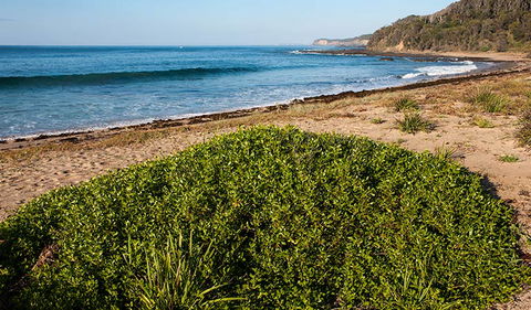 Richmond Beach - Timeshare Accommodation 0