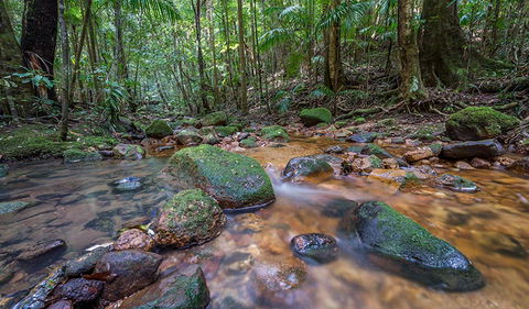 Coorabakh National Park - Timeshare Accommodation 1