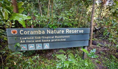 Rainforest Walk - Timeshare Accommodation 1