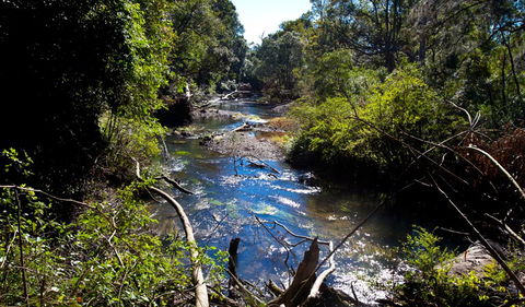 Rainforest Walk - Timeshare Accommodation 2