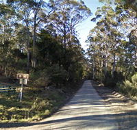 Box Cutting Rainforest Walk - Timeshare Accommodation