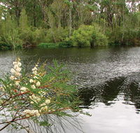 Wallingat National Park - Timeshare Accommodation