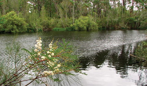Wallingat National Park - Timeshare Accommodation 0
