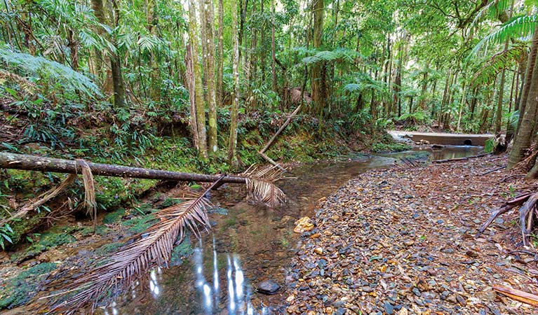 Karangi NSW Timeshare Accommodation