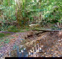 Ulidarra National Park - Timeshare Accommodation