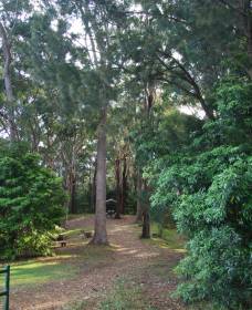 Orara East State Forest - Timeshare Accommodation 1