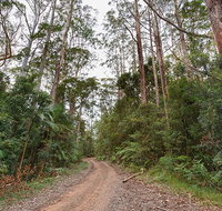 End Peak walking track - Timeshare Accommodation