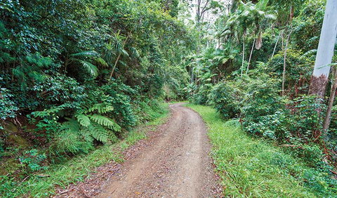 End Peak Walking Track - Timeshare Accommodation 2