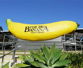 The Big Banana - Timeshare Accommodation 0
