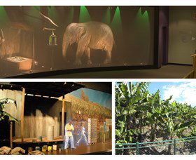 The Big Banana - Timeshare Accommodation 2