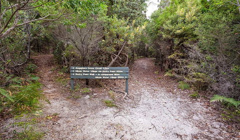 Angophora Grove Walking Track - Timeshare Accommodation 0