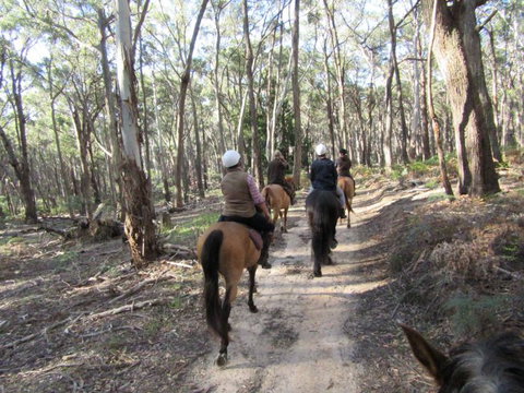 Silver Brumby Trails - Timeshare Accommodation 0