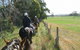 Silver Brumby Trails - thumb 1