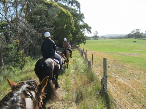 Silver Brumby Trails - Timeshare Accommodation 1