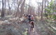 Silver Brumby Trails - thumb 2