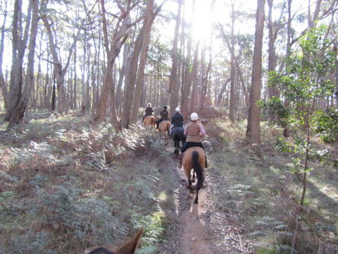 Silver Brumby Trails - Timeshare Accommodation 2
