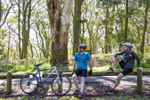 Fit Tours - Timeshare Accommodation 8