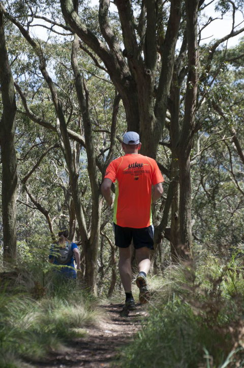 Fit Tours - Timeshare Accommodation 11