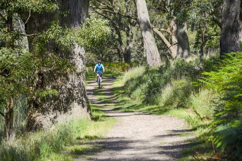 Fit Tours - Timeshare Accommodation 16