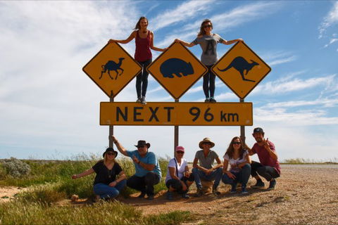 Nullarbor Traveller - Timeshare Accommodation 5