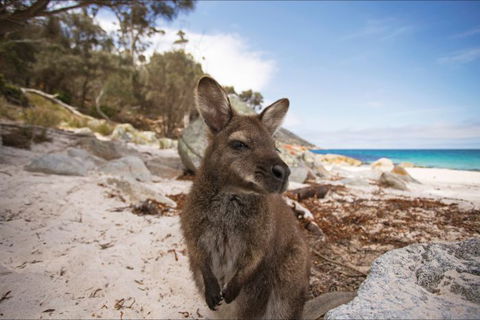 Nullarbor Traveller - Timeshare Accommodation 28