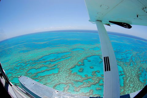 Air Whitsunday Seaplanes - Timeshare Accommodation 1