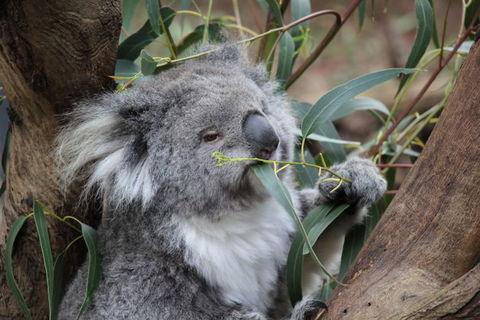 Oceania Tours And Safaris - Timeshare Accommodation 3