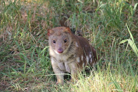 Oceania Tours And Safaris - Timeshare Accommodation 8