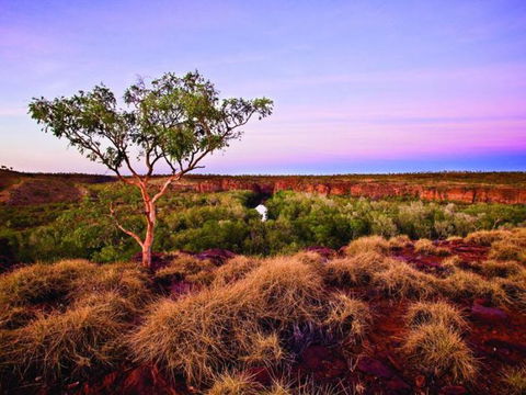 Island Stack, Boodjamulla (Lawn Hill) National Park - Timeshare Accommodation 0