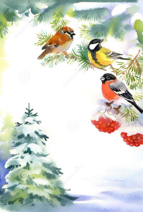 Two Birds Gallery - Timeshare Accommodation 2