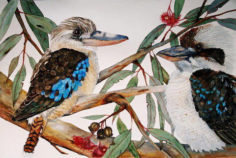 Two Birds Gallery - Timeshare Accommodation 3