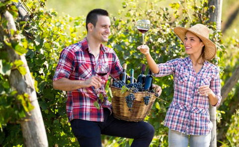 Two Tails Wines - Timeshare Accommodation 0