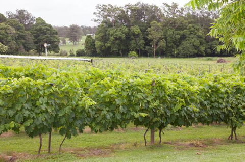Two Tails Wines - Timeshare Accommodation 2