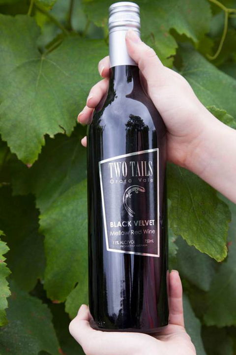 Two Tails Wines - Timeshare Accommodation 3