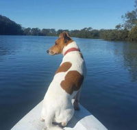 Australis Canoes  Kayaks - Timeshare Accommodation