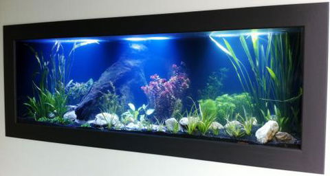 Aquariums In Cairns - Timeshare Accommodation 0