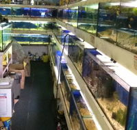 Clearwater Aquariums - Timeshare Accommodation