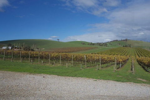 Wine Compass - Timeshare Accommodation 1