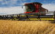 Quirindi Grain And Produce - thumb 0