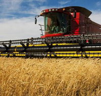 Quirindi Grain and produce - Timeshare Accommodation