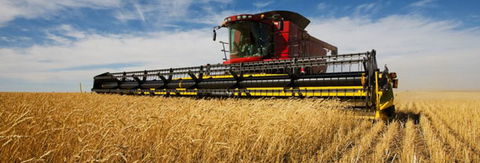 Quirindi Grain And Produce - Timeshare Accommodation 0
