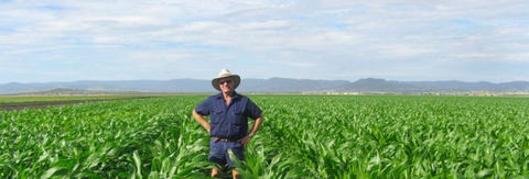 Quirindi Grain And Produce - Timeshare Accommodation 1