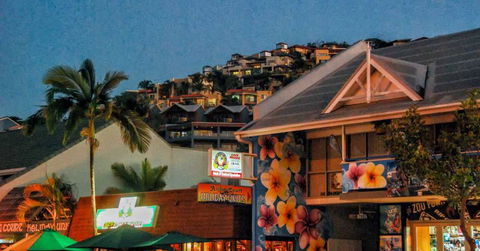 Airlie Beach Party Bus - Timeshare Accommodation 3