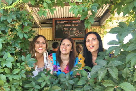 Perth River Cruise And Vineyard Experience: Best Of Both Worlds - Timeshare Accommodation 3